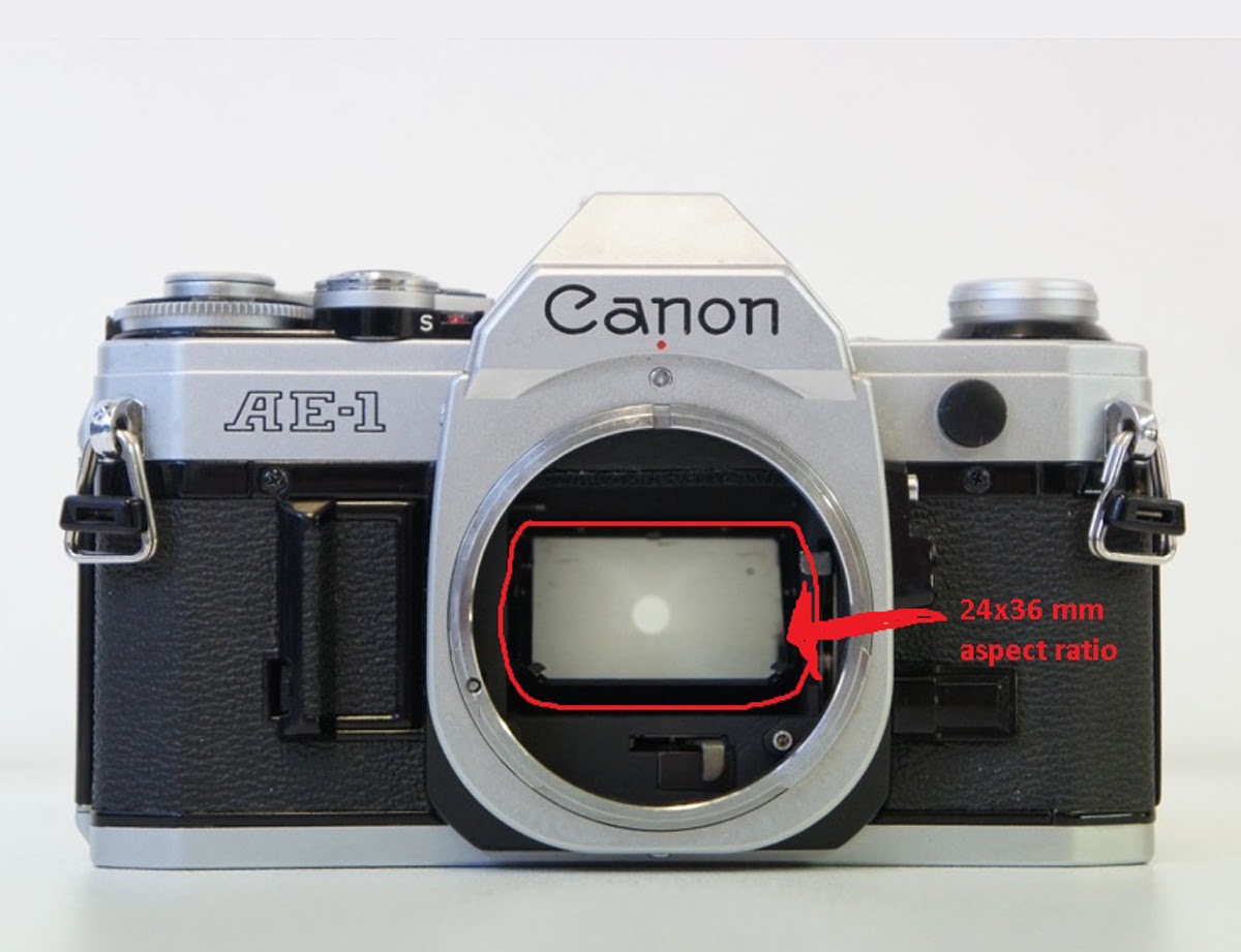 Canon sensor size