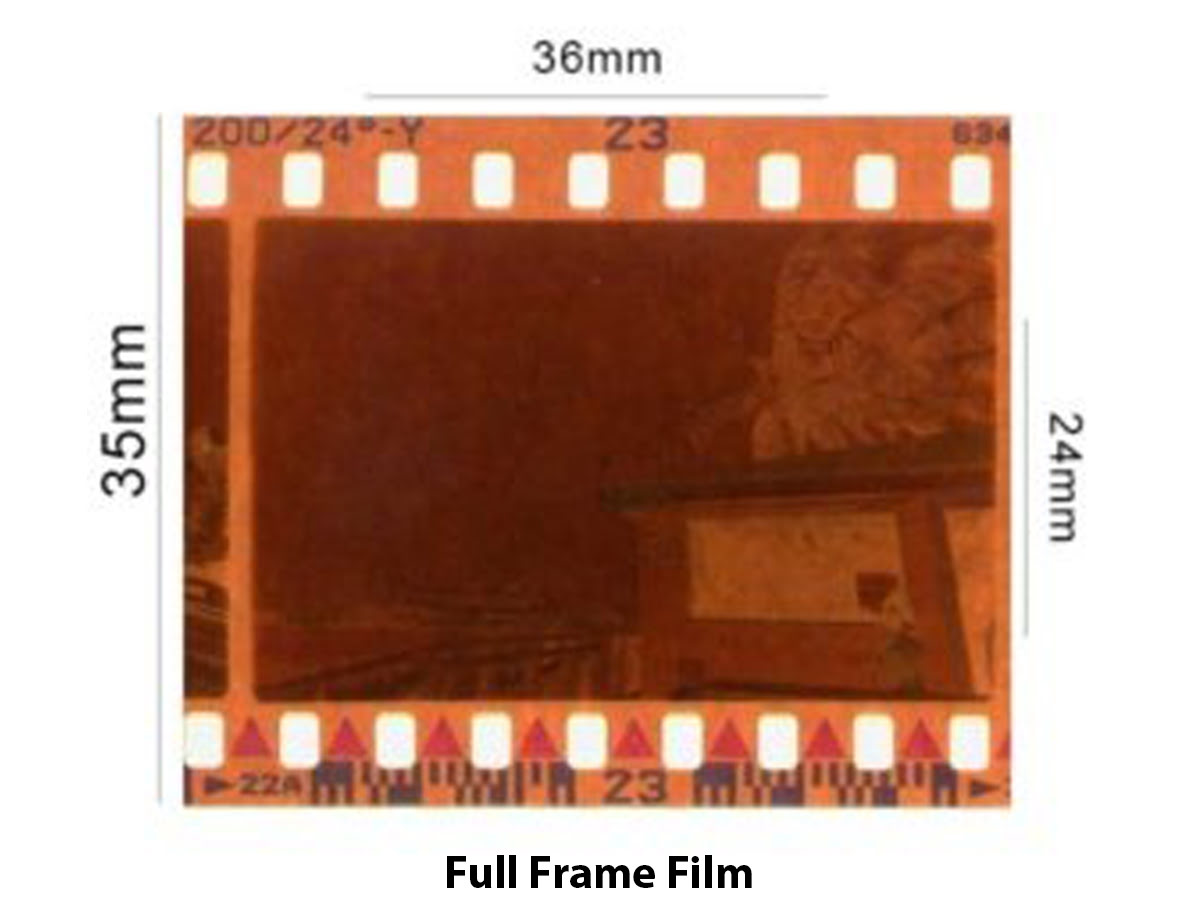 Full frame film örneği