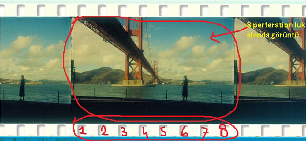 Full frame film örneği