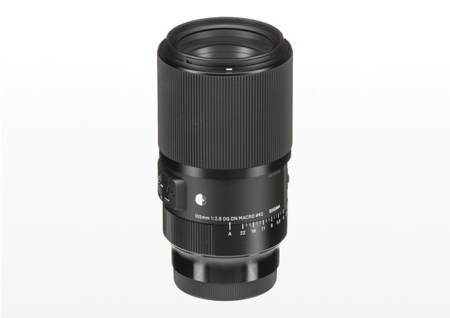 Kiralık Sigma 105mm f/2.8 Macro Art Lens (E)